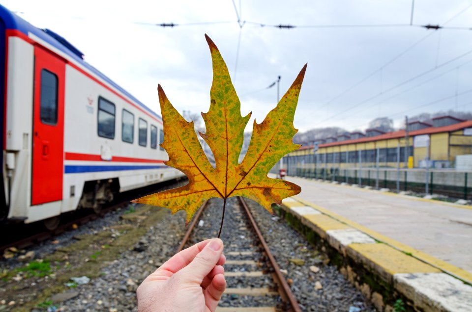 One, Yellow, Railroad tracks