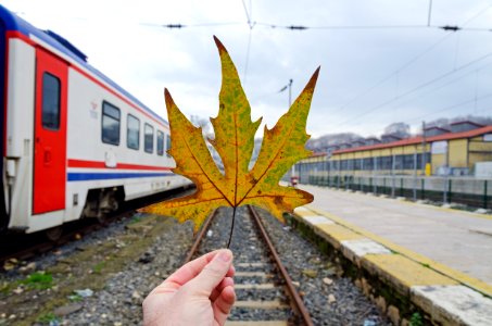 One, Yellow, Railroad tracks photo