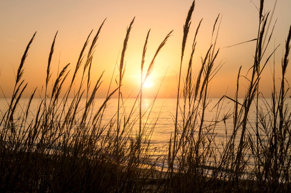 Light, Sunset, Ocean