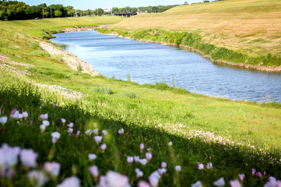 Fort worth, United states