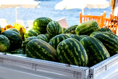 Beach, Fruit, Watermelons