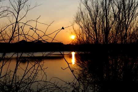 Sun, Evening, Lake photo