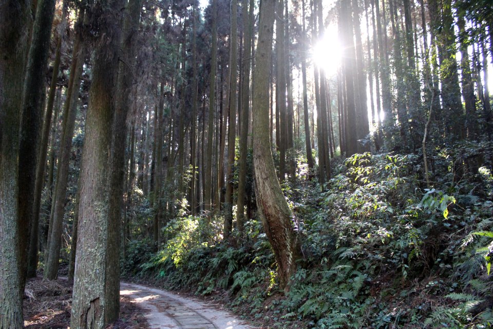 Kagoshima prefecture, Japan, Afternoon