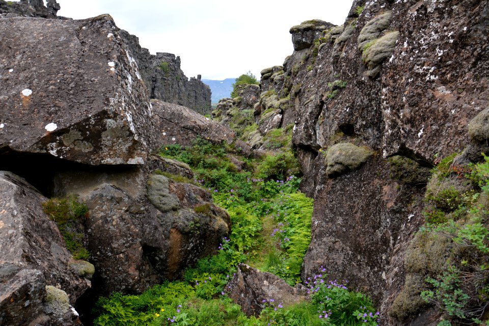 Icel, Ingvellir, Magic
