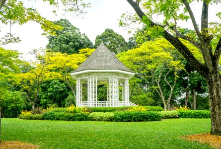 Singapore botanic gardens, Singapore photo