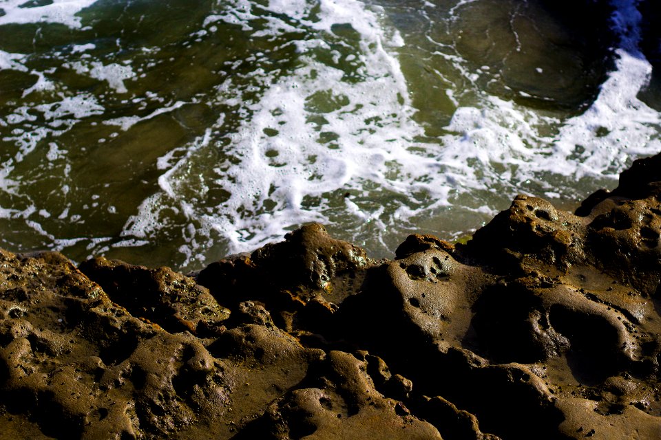 Torrey pines, San diego, United states