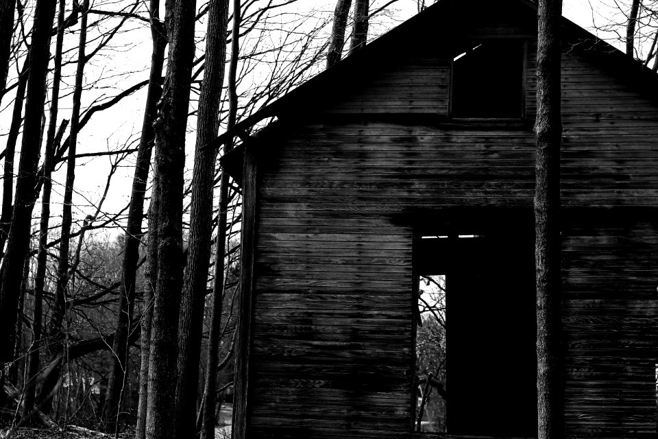 Perrysville, United states, Oned