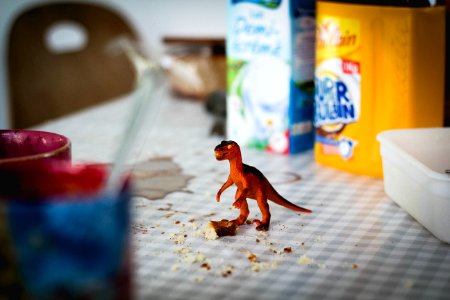 A little toy dinosaur on the kitchen table. photo