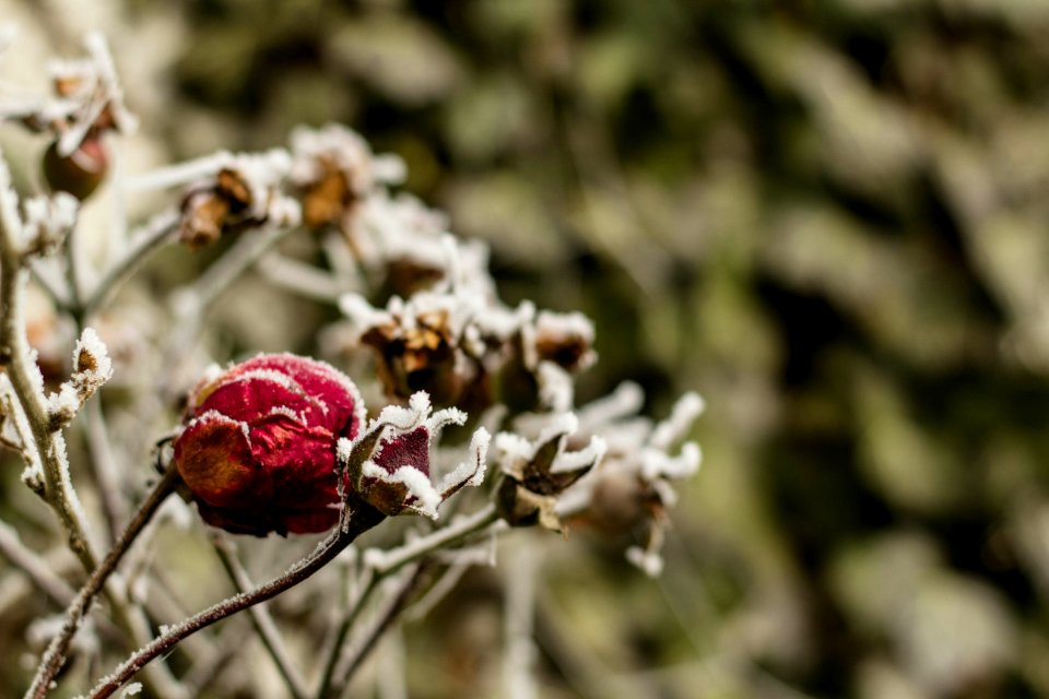 Lower, Season, Winter