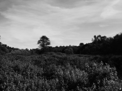 Campbell valley regional park, Langley, Canada