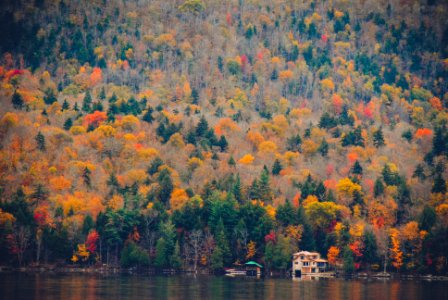 landscape photo of mountains full of trees near body of water during daytime photo