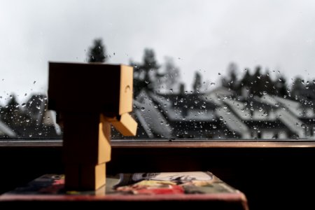 Book, Danbo, Raindrops