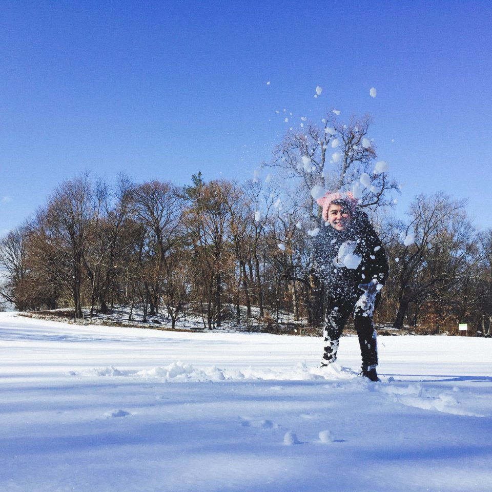 Prospect park, United states, White christmas