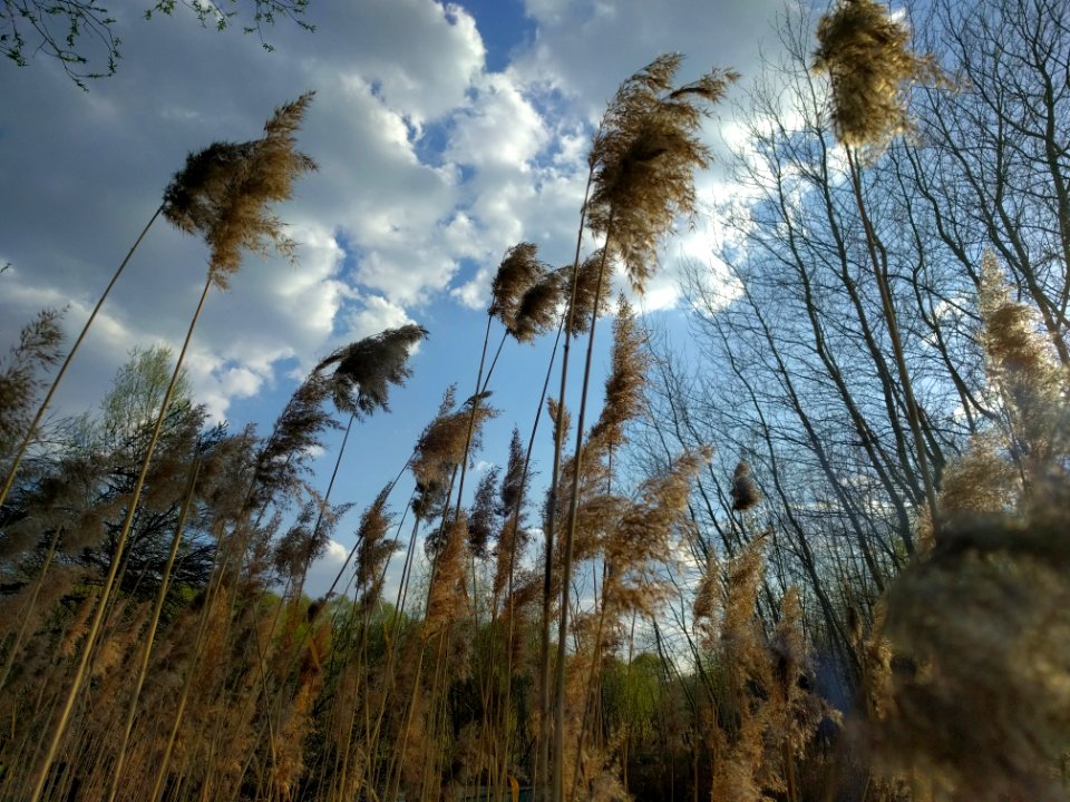 Moscow, Russia, Summer