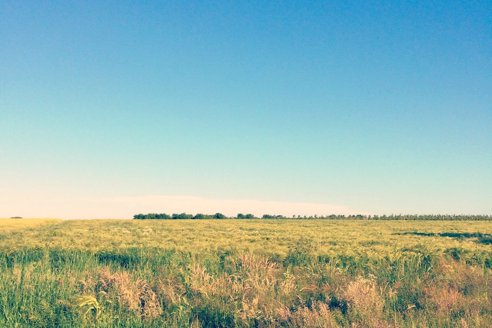 Velm, Space, Field