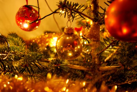 Christmas time, Lights, Christmas tree