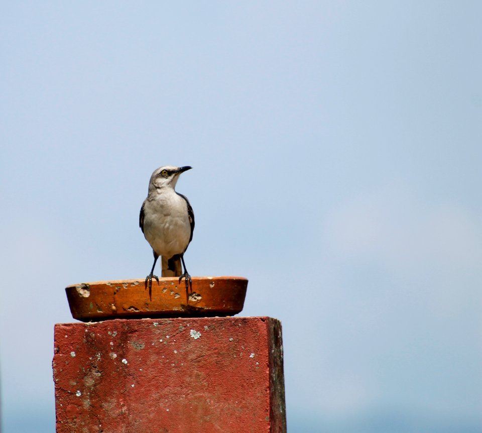 Colombia, La vega, Nature