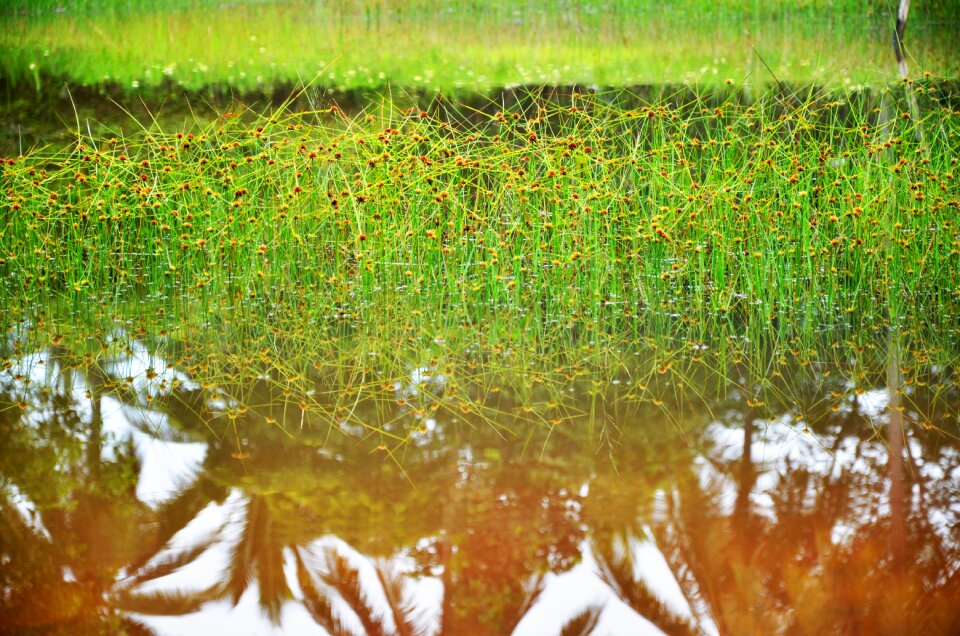 Nature water landscape