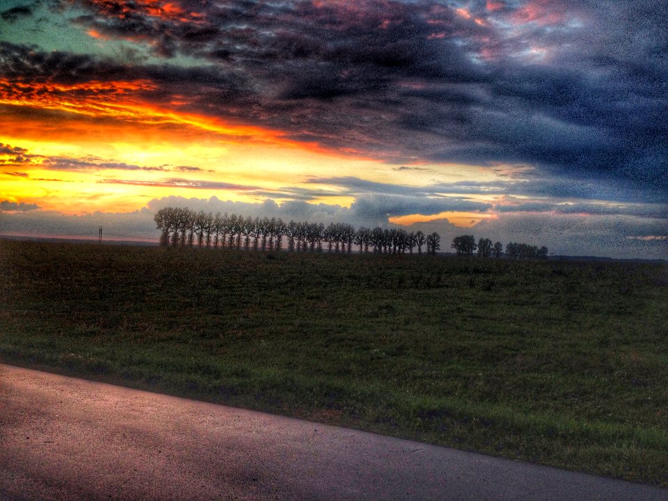 Road