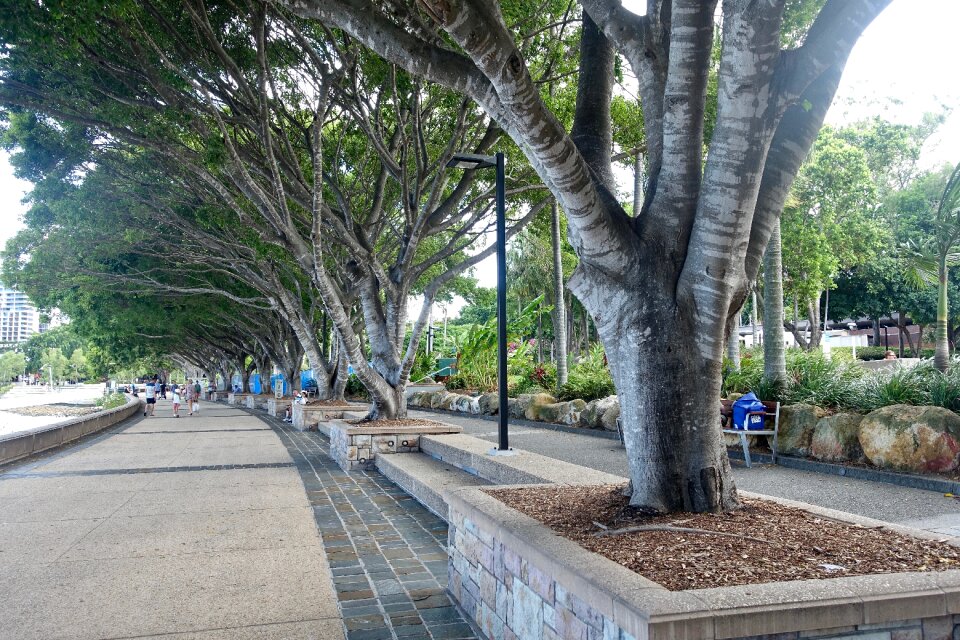 Southbank brisbane walkway