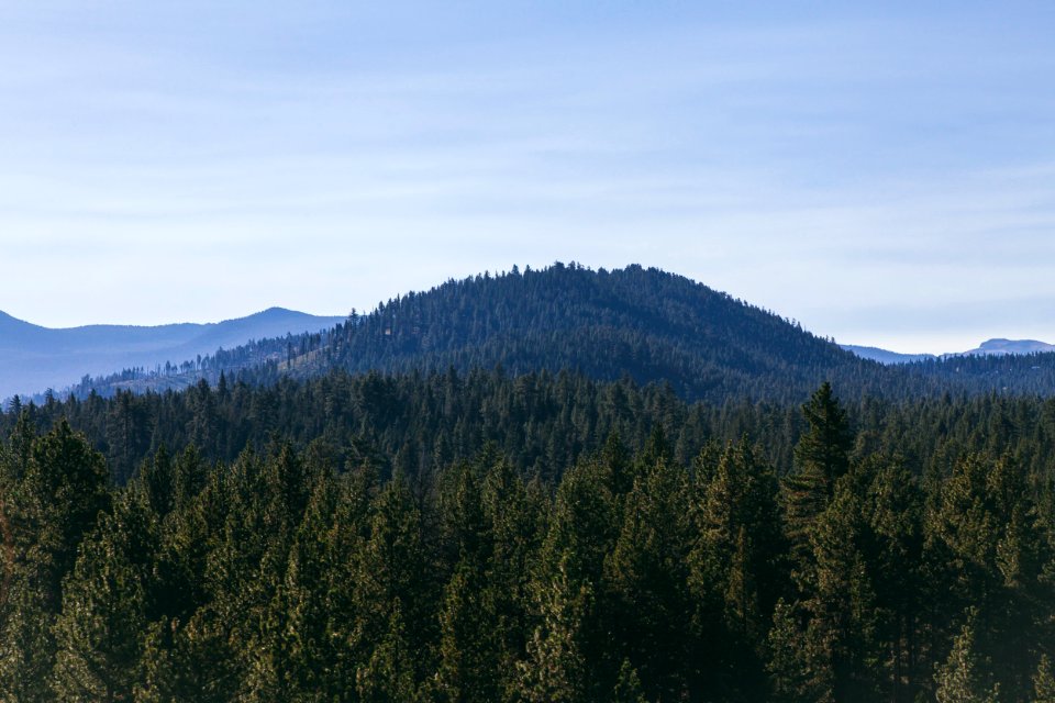 South lake tahoe, United states, Woods