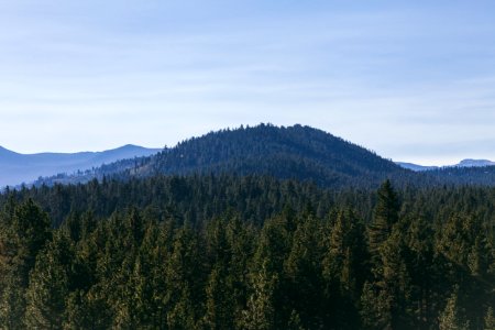 South lake tahoe, United states, Woods