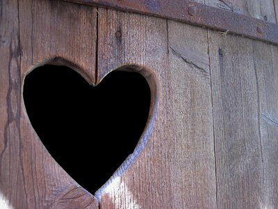 Wooden structure heart in the wood board photo