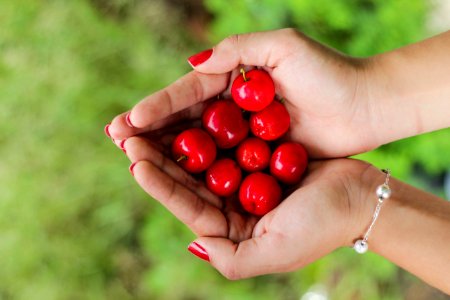 red berries on person's hands photo