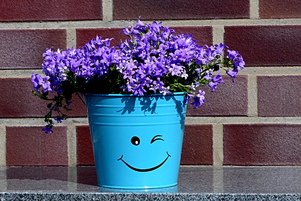Smiley laugh flower