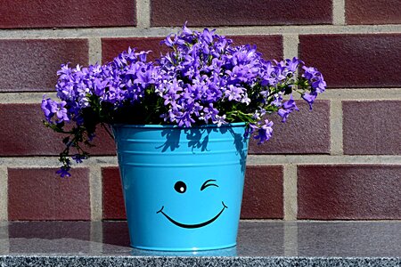 Smiley laugh flower