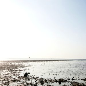 Beach, Man, Minimal photo