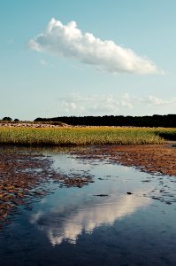 Barnstable county, United states, Beach