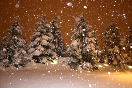 Indianapolis, United states, Night snow photo