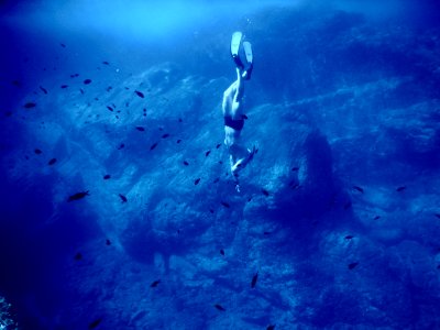 diver under water photo