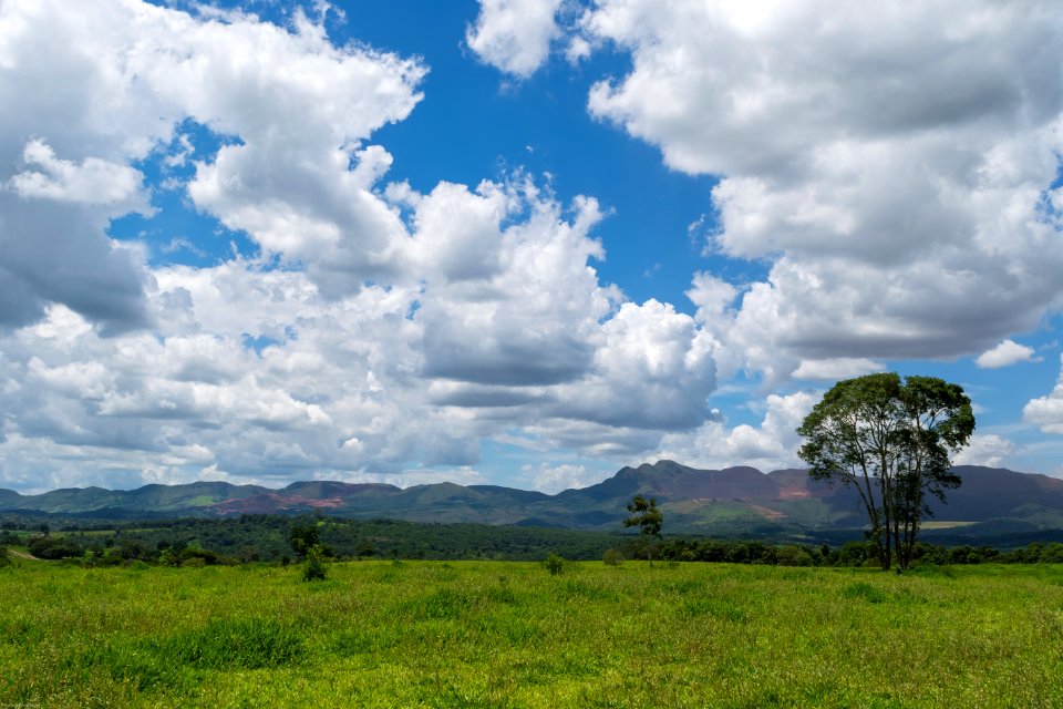 Brumadinho, Brazil, Grass