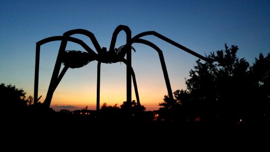 Spider sculpture, Austin, United states photo