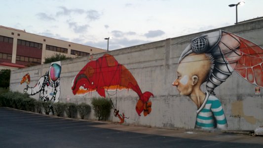 Wall murals, Austin, Usa photo