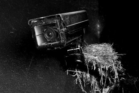 Dust, Black, Oned