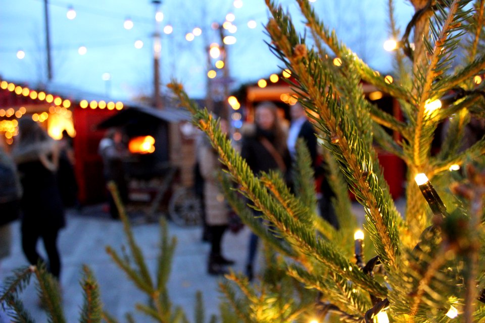 Zrich, Switzerland, Christmas light