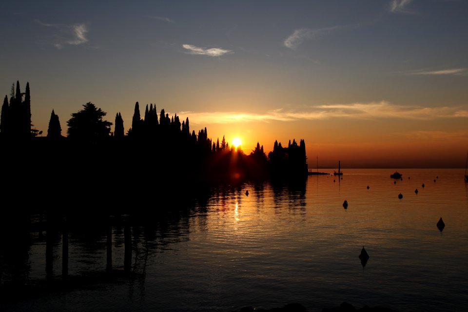 Lake garda, Italy, Trees