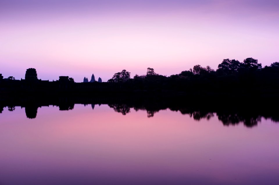 trees reflecting in body of water