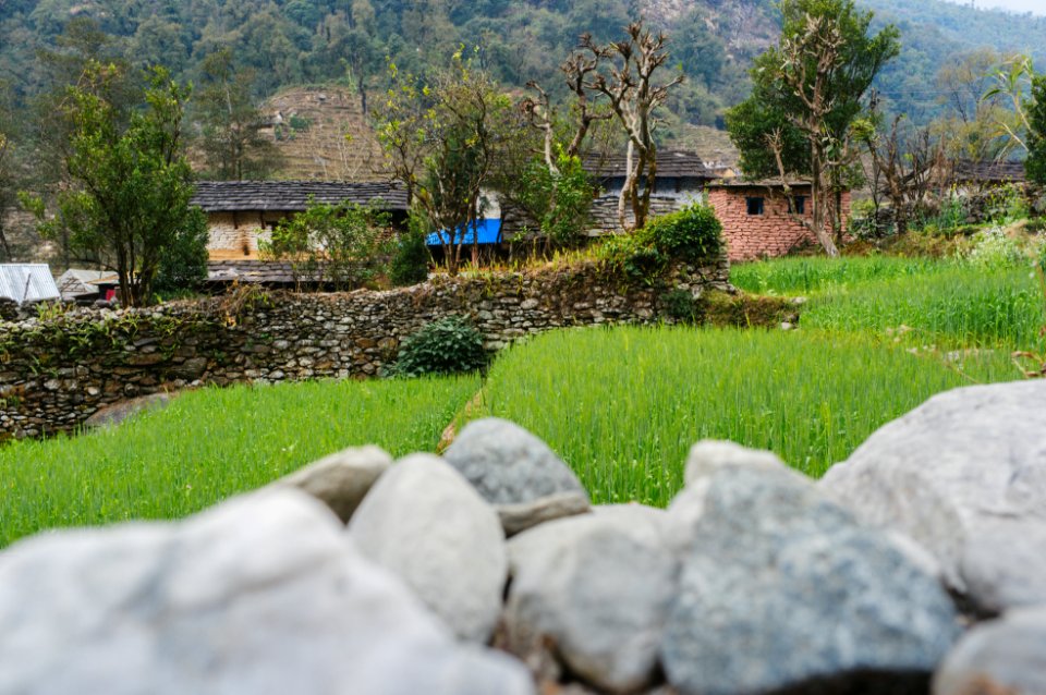 Nepal, Ghode pani, Texture