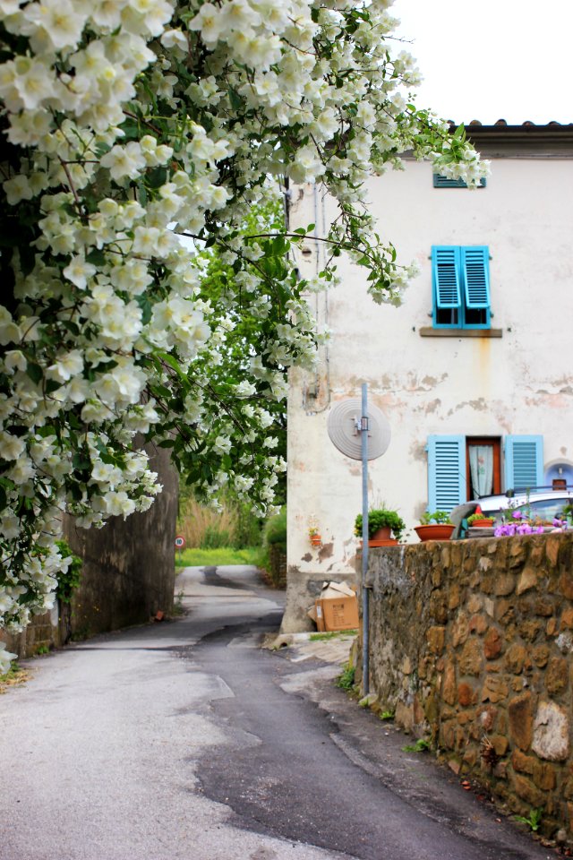 Italy, Lamporecchio, Photography