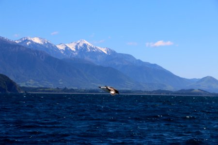 New zeal, Kaikoura peninsula, Mountain