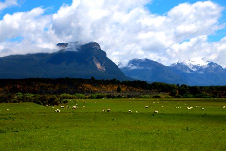 Fiordl, national park, New zeal photo