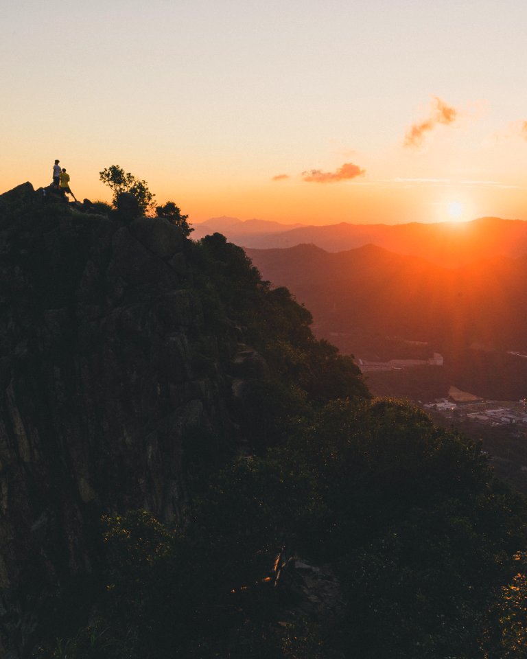 Hong kong, Hongkong, Forest
