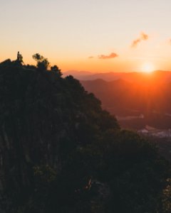 Hong kong, Hongkong, Forest