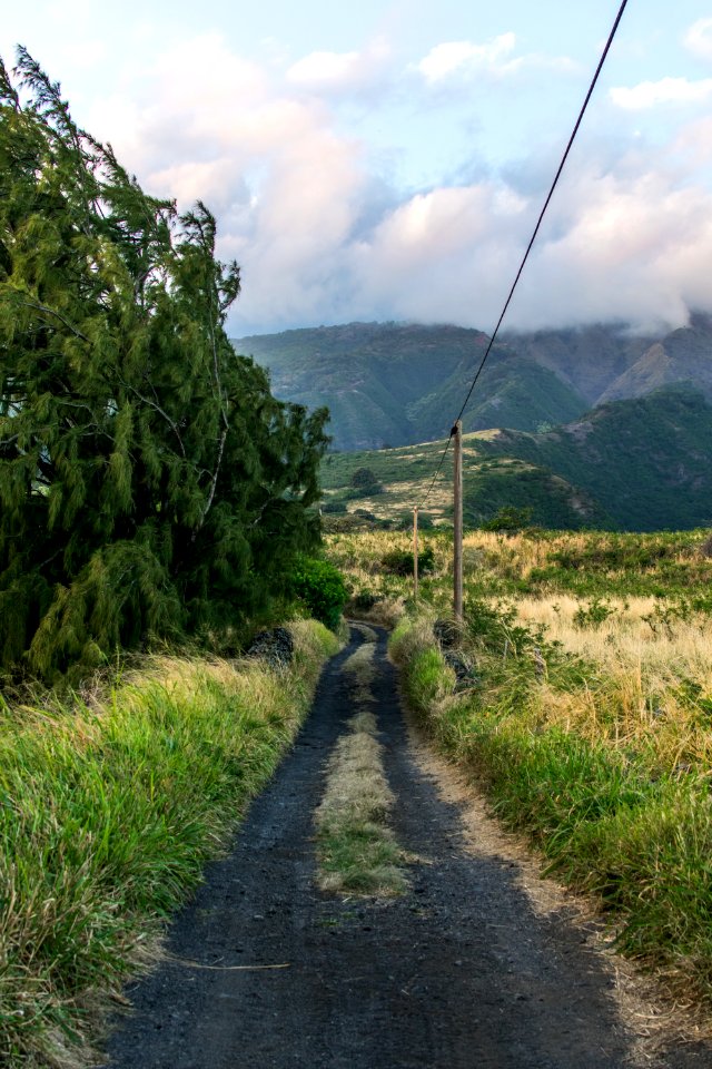 Maui, United states, Dirt path