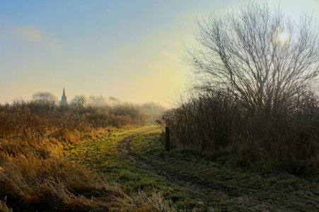 Kijfhoek, Netherl, Morning walk photo