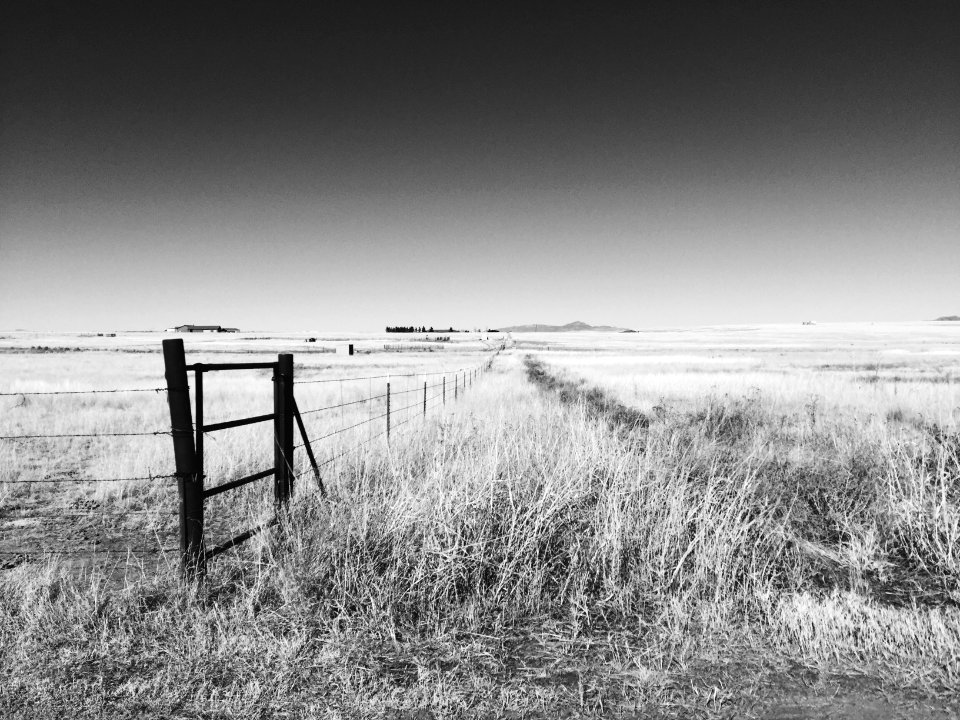 Sonoita, United states, Scape
